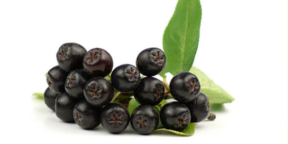 Şeker hastalığı için yararlı siyah üvez meyveleri
